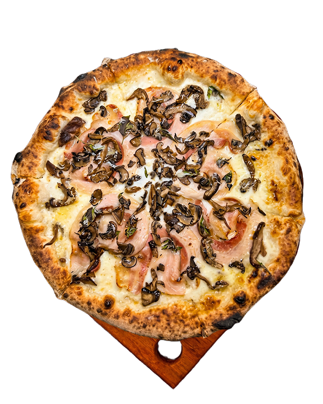 FUNGHI TARTUFATI